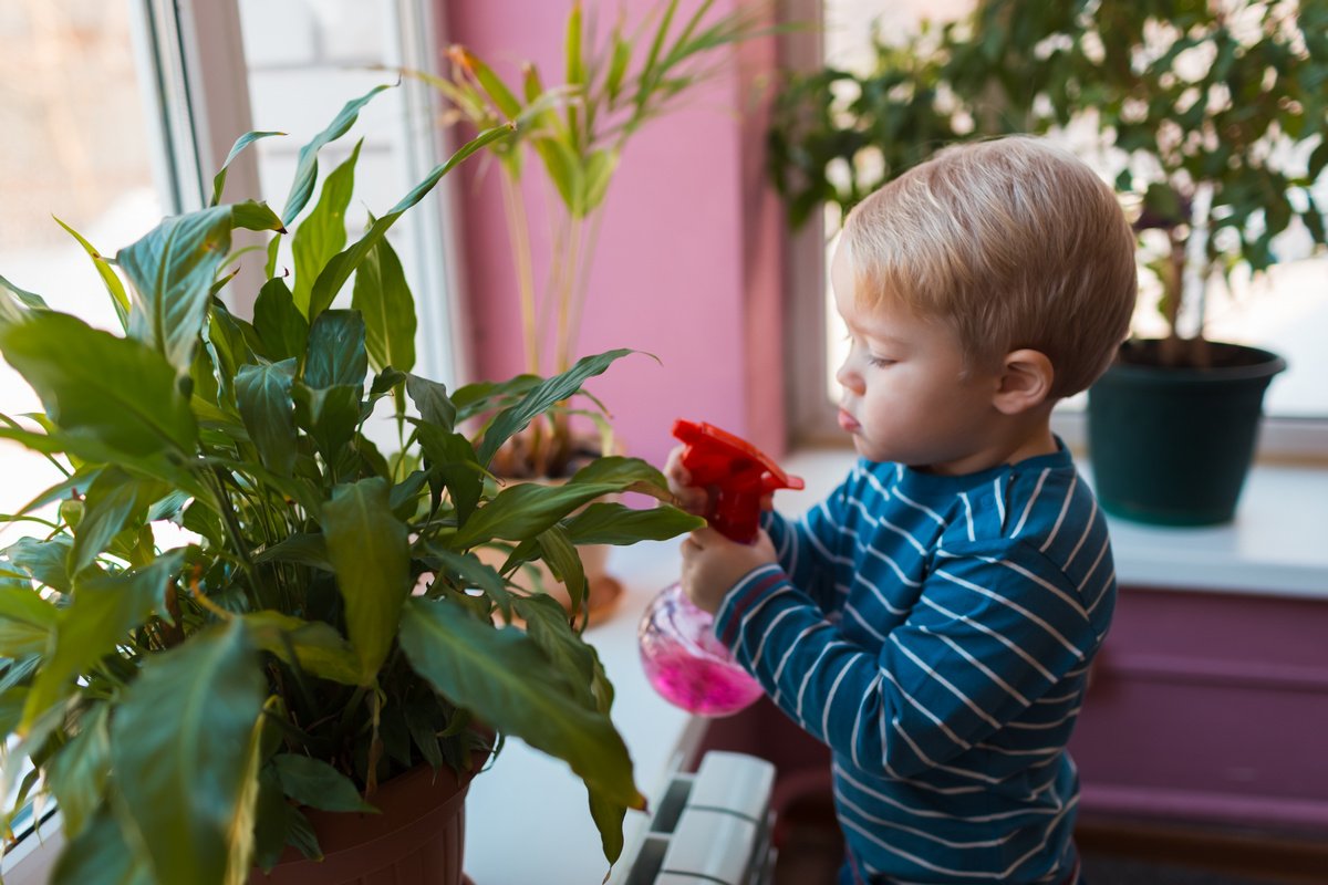 Комнатные растения в детской помогут детям научиться ухаживать за ними с малых лет