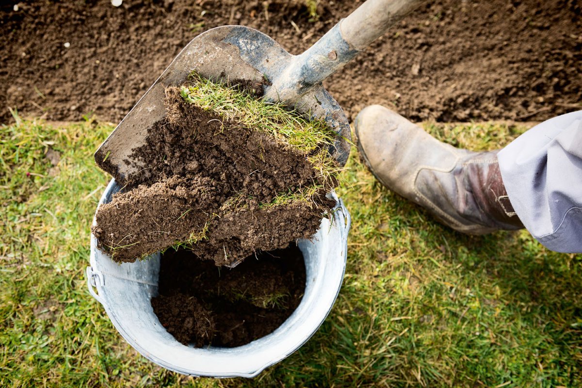 Для получения небольшого количества дерновой земли можно, срезав пласт дернины, просто вытрясти из нее почву в ёмкость