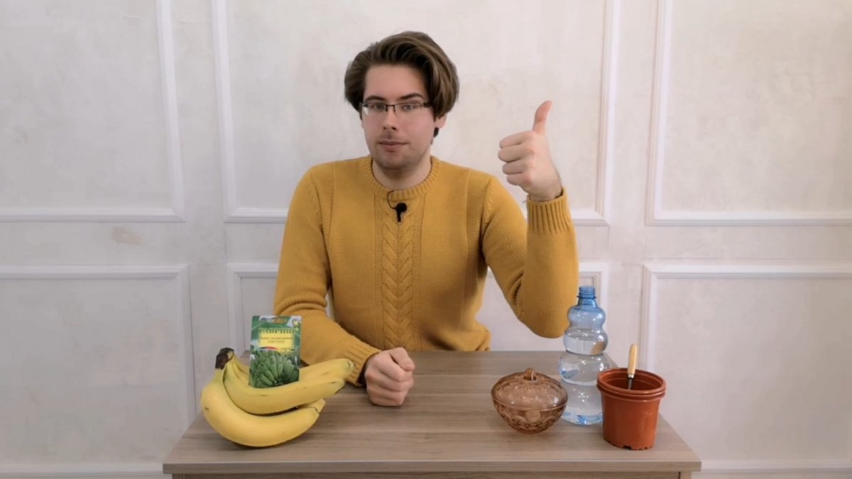 Сажаем бананы в домашних условиях