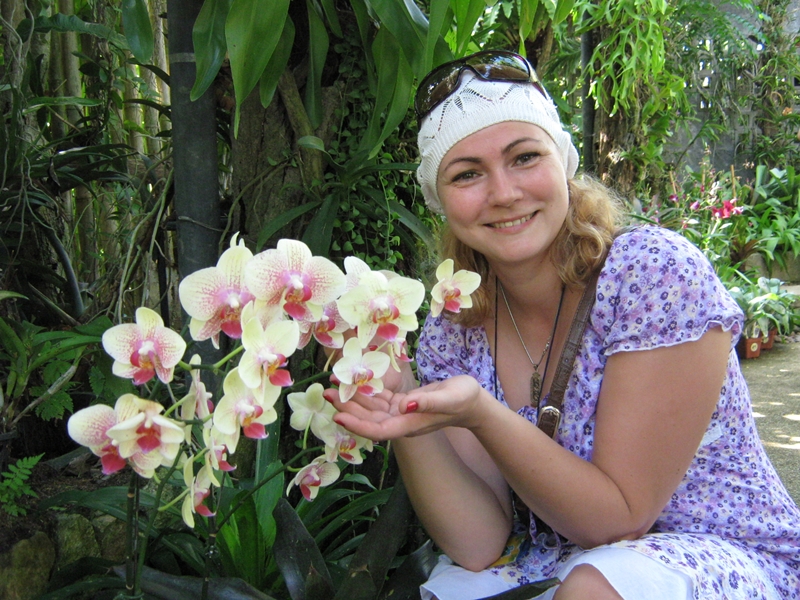 Орхидея и солнце: где лучше всего поставить горшок с цветком