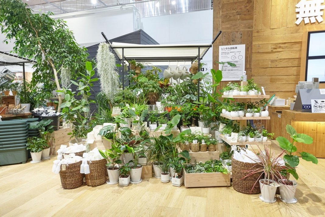 Павильон продаж комнатных растений в торговом центре